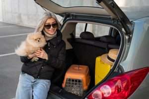 2024 Traveling with Pets