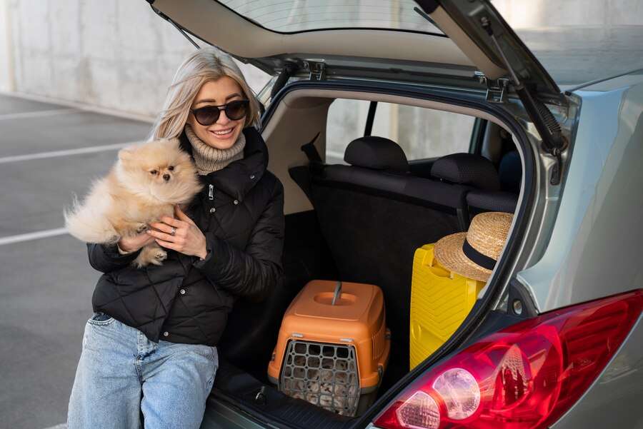 2024 Traveling with Pets